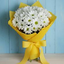 Букет цветов из:  Хризантемы в Александрийской Ставропольского края
