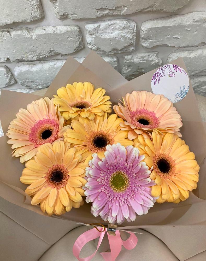 Букет цветов из: Герберы в Александрийской Ставропольского края