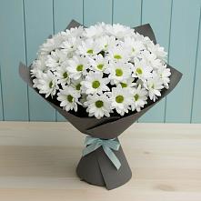 Букет цветов из:  Хризантемы в Александрийской Ставропольского края