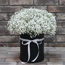 Цветочная композиция из Гипсофила в шляпной коробке #REPLACE_PRED# Александрийской Ставропольского края