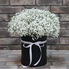 Цветочная композиция из Гипсофила в шляпной коробке в Александрийской Ставропольского края